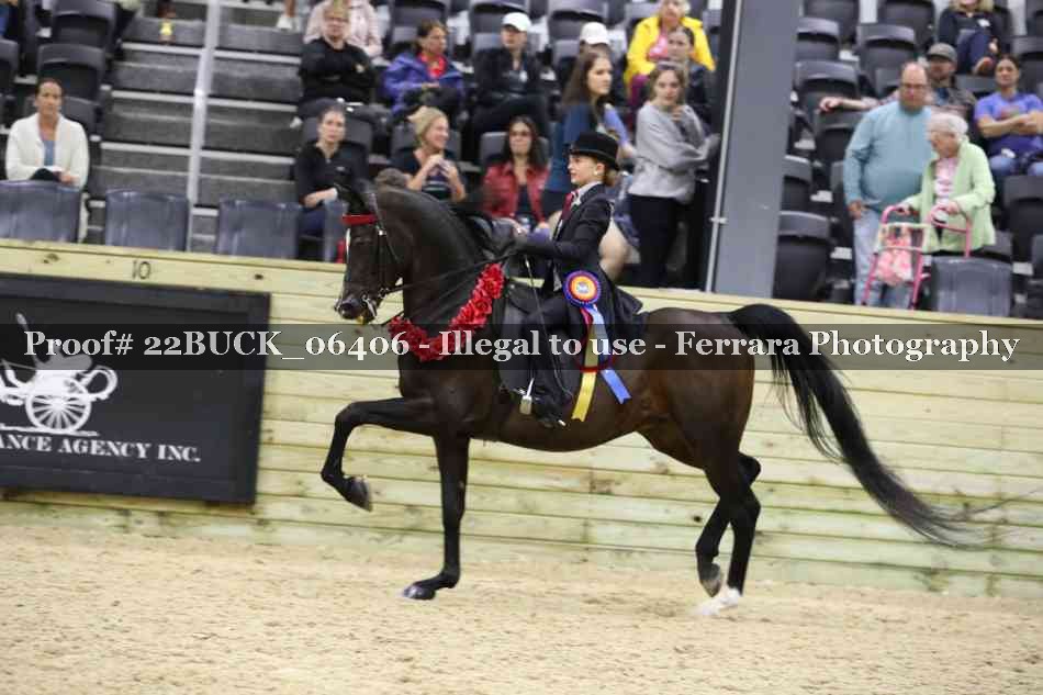 Proof 22BUCK_06406