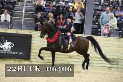22BUCK_06406 proof