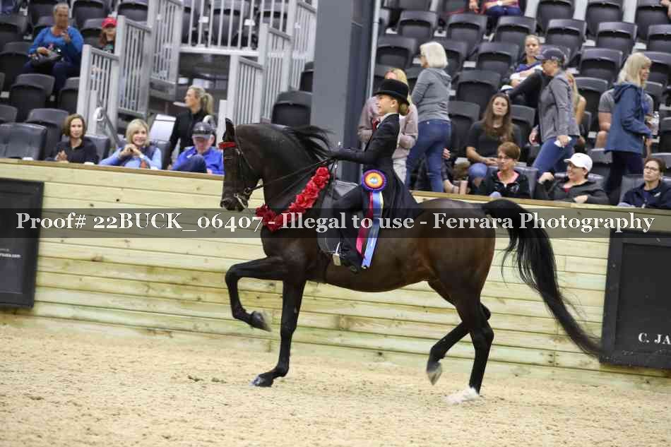 Proof 22BUCK_06407