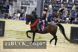22BUCK_06407 proof
