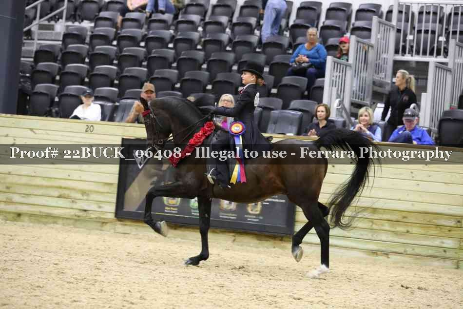 Proof 22BUCK_06408