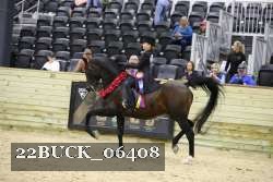 22BUCK_06408 proof