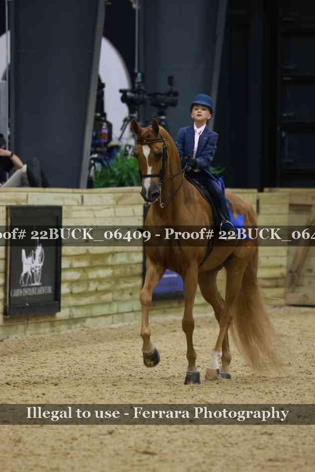 Proof 22BUCK_06409