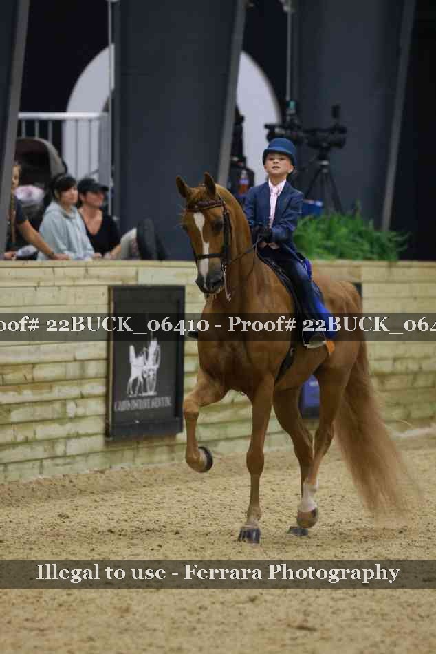 Proof 22BUCK_06410