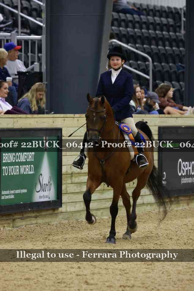 Proof 22BUCK_06412