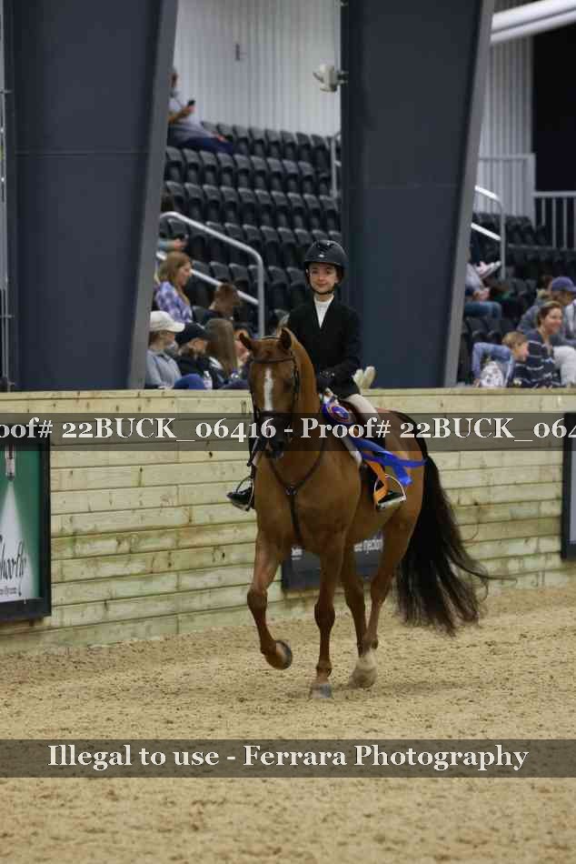 Proof 22BUCK_06416