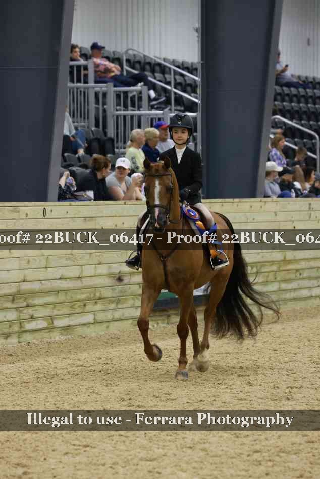 Proof 22BUCK_06417