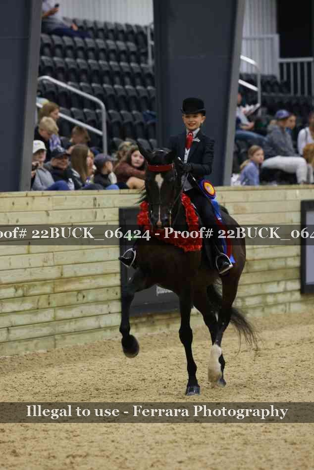 Proof 22BUCK_06424