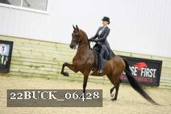 22BUCK_06428 proof