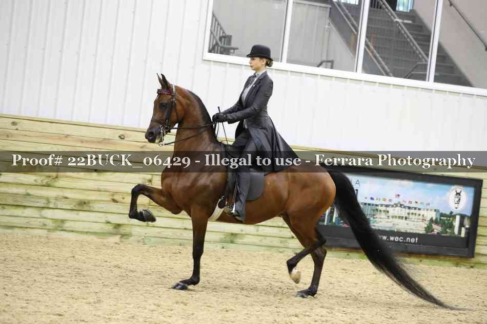 Proof 22BUCK_06429
