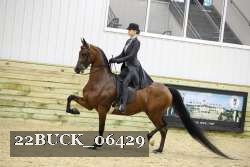 22BUCK_06429 proof
