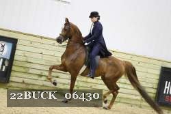 22BUCK_06430 proof