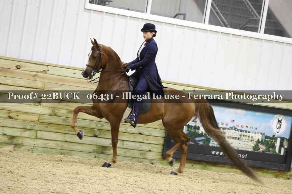 Proof 22BUCK_06431