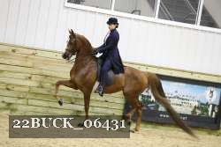 22BUCK_06431 proof