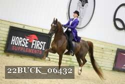 22BUCK_06432 proof