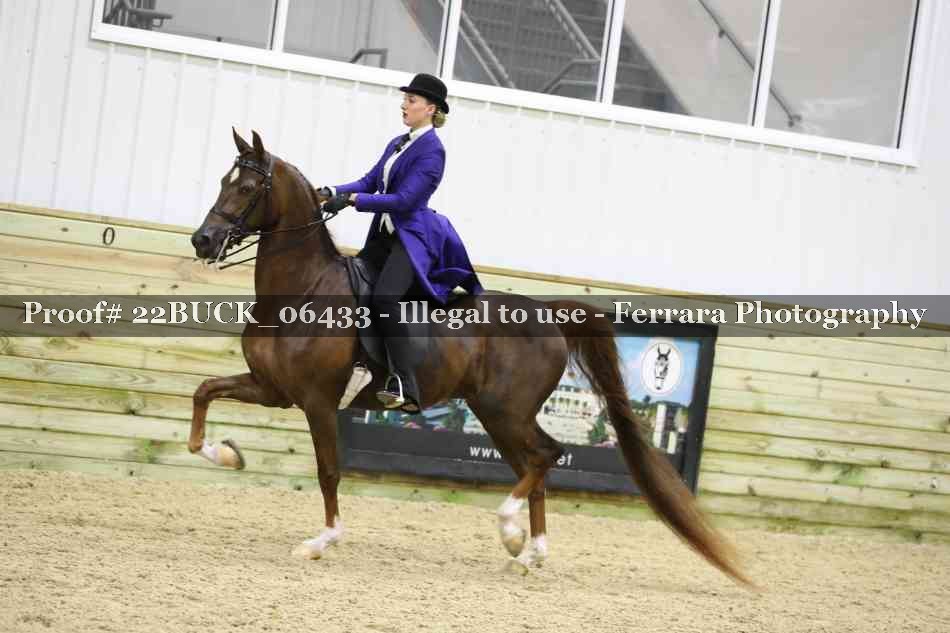 Proof 22BUCK_06433