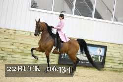 22BUCK_06434 proof