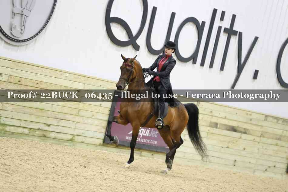 Proof 22BUCK_06435