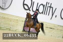 22BUCK_06435 proof