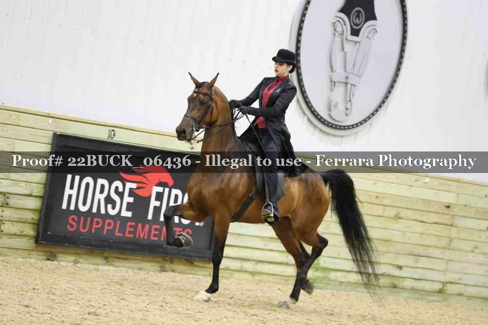 Proof 22BUCK_06436