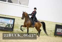 22BUCK_06437 proof