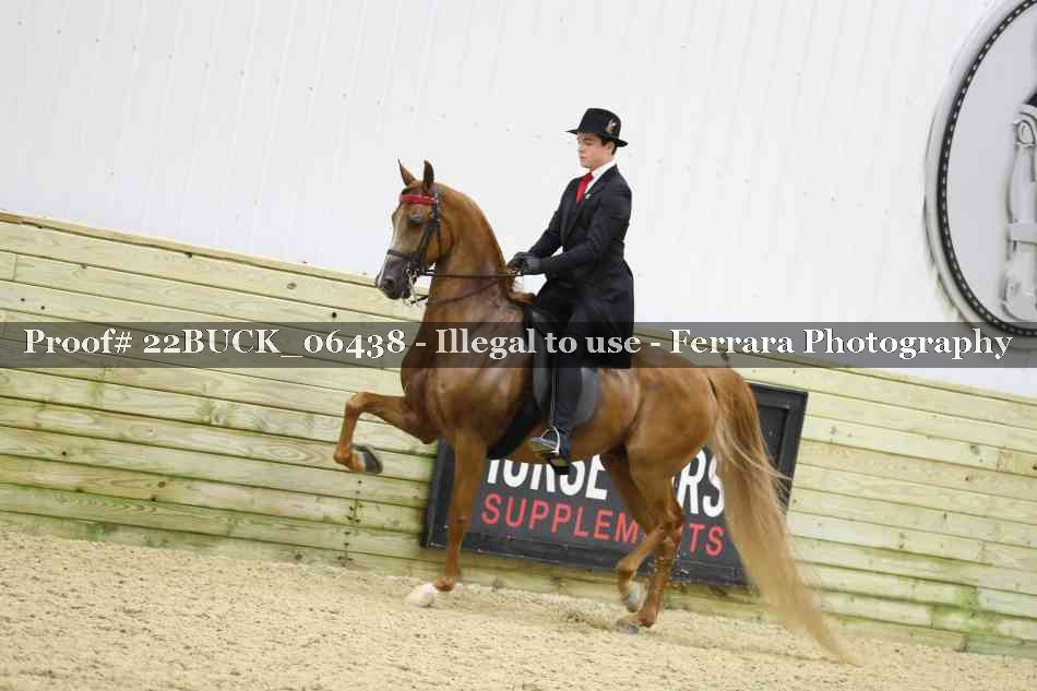 Proof 22BUCK_06438