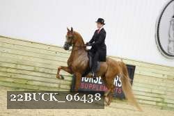 22BUCK_06438 proof