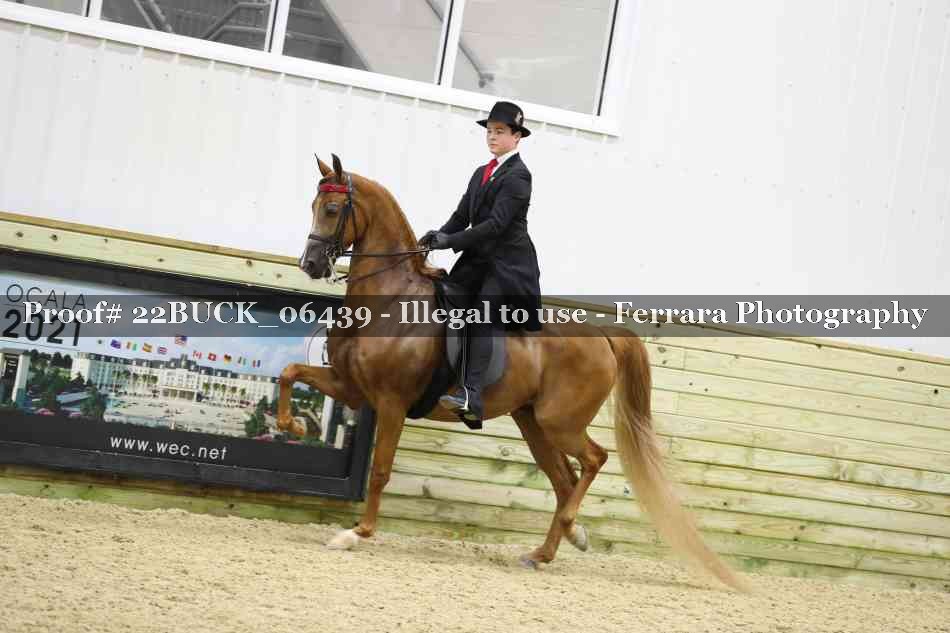 Proof 22BUCK_06439