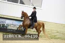 22BUCK_06439 proof