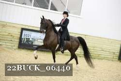 22BUCK_06440 proof