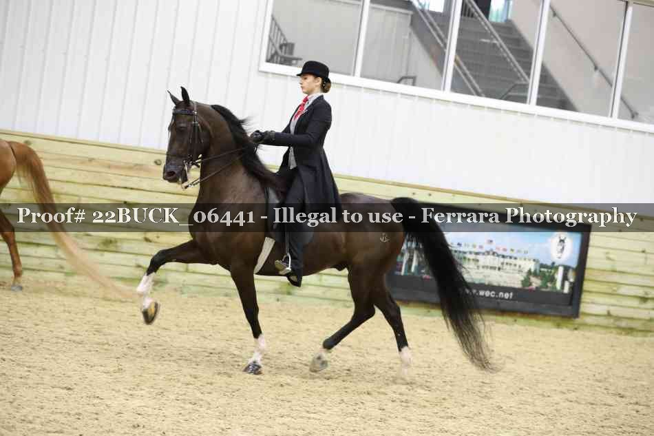 Proof 22BUCK_06441