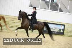 22BUCK_06441 proof