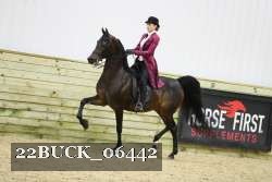 22BUCK_06442 proof