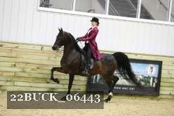 22BUCK_06443 proof