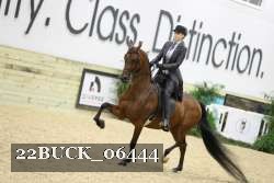 22BUCK_06444 proof