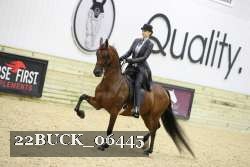 22BUCK_06445 proof