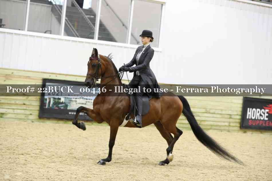 Proof 22BUCK_06446