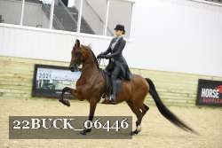 22BUCK_06446 proof
