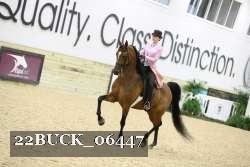 22BUCK_06447 proof