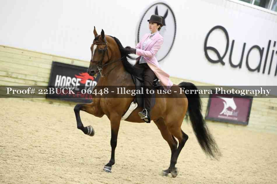 Proof 22BUCK_06448