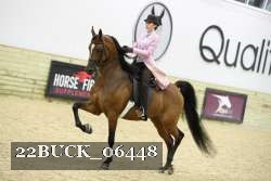 22BUCK_06448 proof