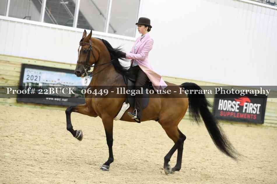 Proof 22BUCK_06449