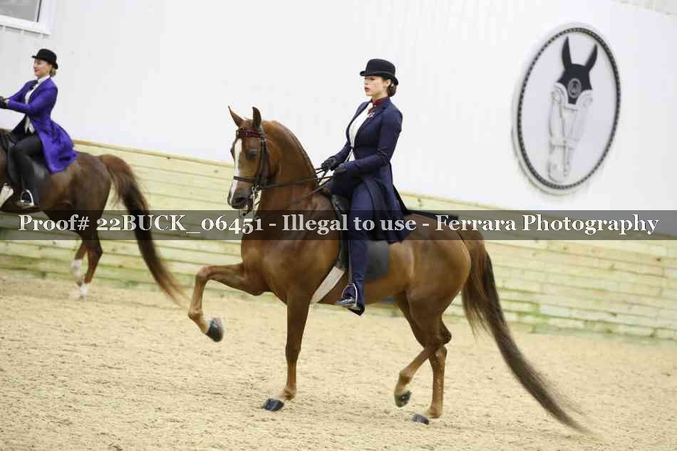 Proof 22BUCK_06451