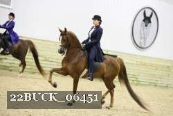 22BUCK_06451 proof