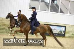 22BUCK_06452 proof