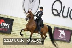 22BUCK_06453 proof