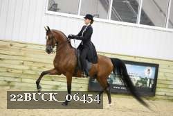 22BUCK_06454 proof