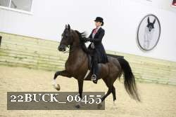 22BUCK_06455 proof