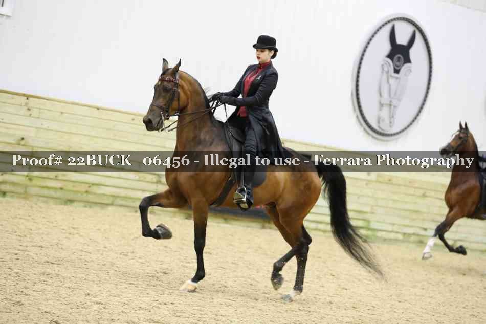 Proof 22BUCK_06456
