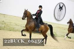 22BUCK_06456 proof